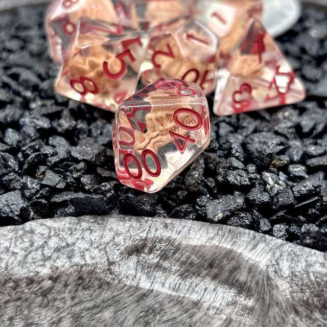 Sage's Fossil Familiar Resin Polyhedral Dice Set image 6